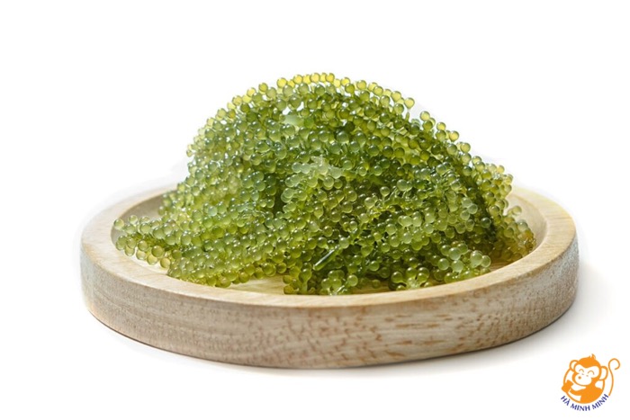 Thạch yến sào rong nho Hvnest Thạch yến sào rong nho Hvnest