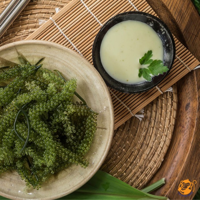 Thạch yến sào rong nho Thạch yến sào rong nho