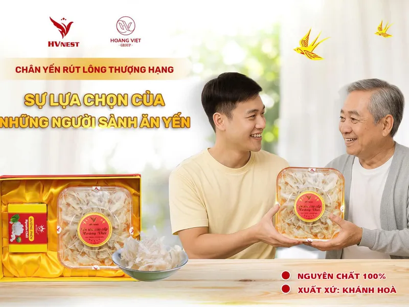 Các loại yến sào phổ biến hiện nay – Chọn loại nào phù hợp nhất?