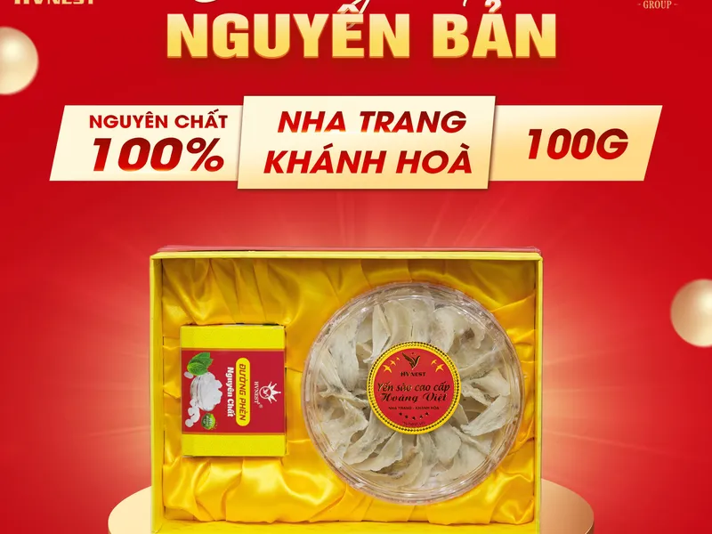 Tổ yến nguyên chất dưỡng chất vàng cho mọi độ tuổi