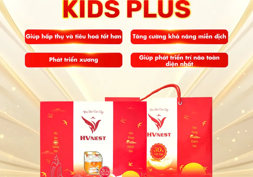 Tổ yến chưng đường phèn Kidplus Hộp VIP