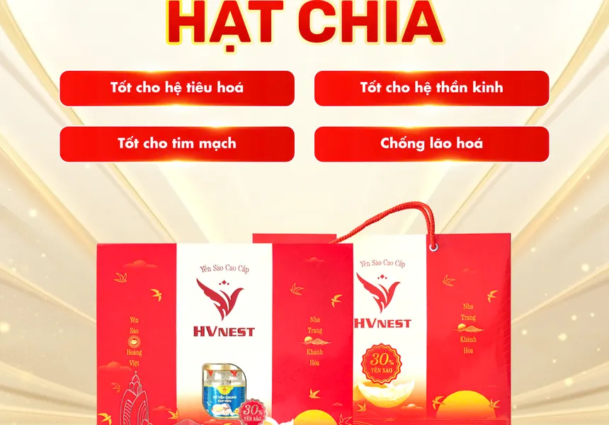 Tổ yến chưng hạt chia - Hộp VIP