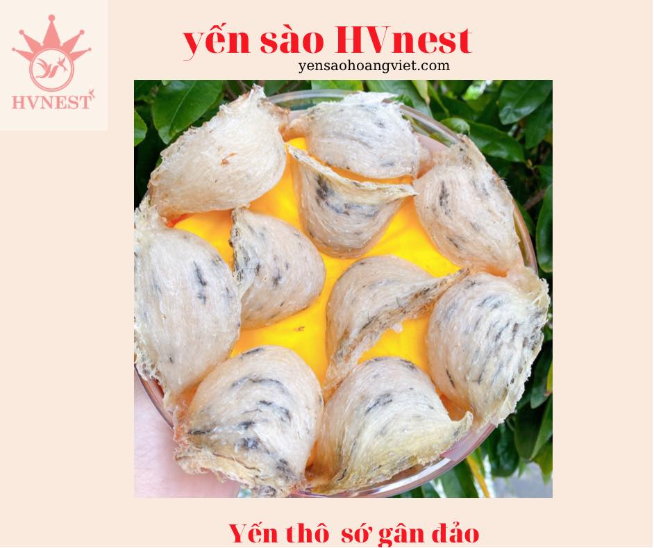 Tổ yến chất lượng có gì khác biệt? Cách nhận biết nhanh & chính xác Tổ yến chất lượng có gì khác biệt? Cách nhận biết nhanh & chính xác