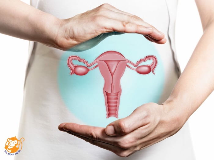 Tổ yến có tốt cho người bị ung thư Tổ yến có tốt cho người bị ung thư