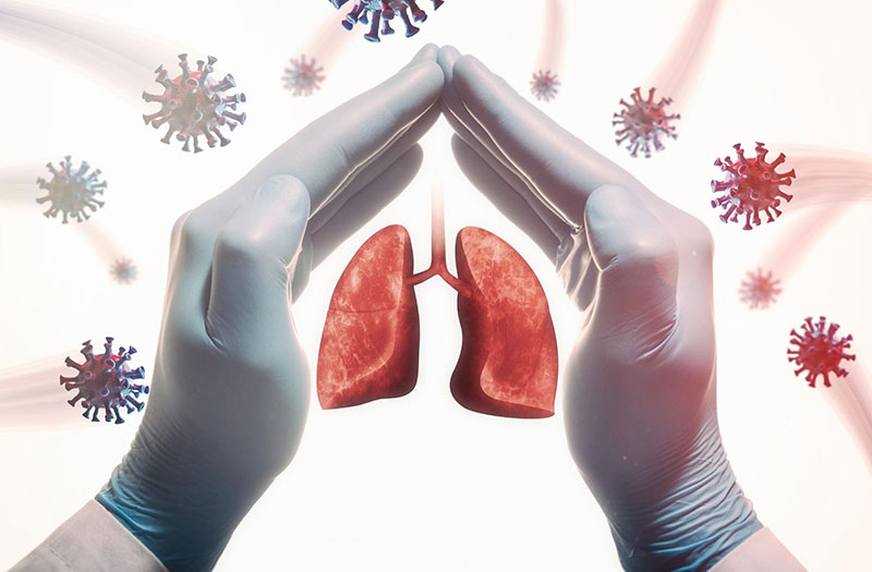 Tổ yến có tốt cho phổi không Tổ yến có tốt cho phổi không