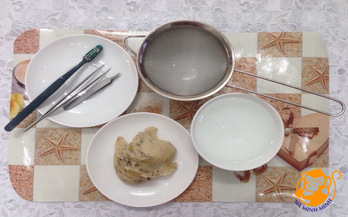 Tổ yến còn lông Tổ yến còn lông