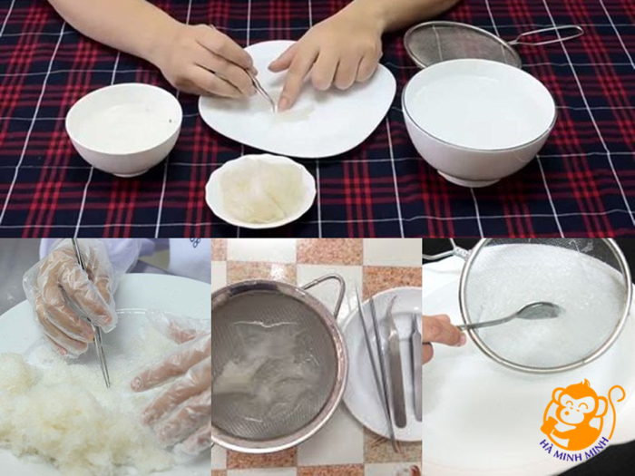 tổ yến còn lông tổ yến còn lông