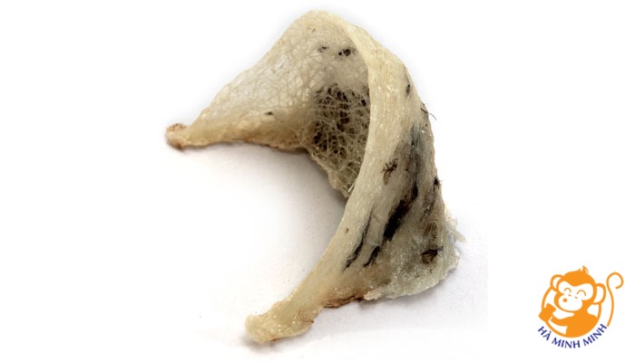 tổ yến còn lông tổ yến còn lông