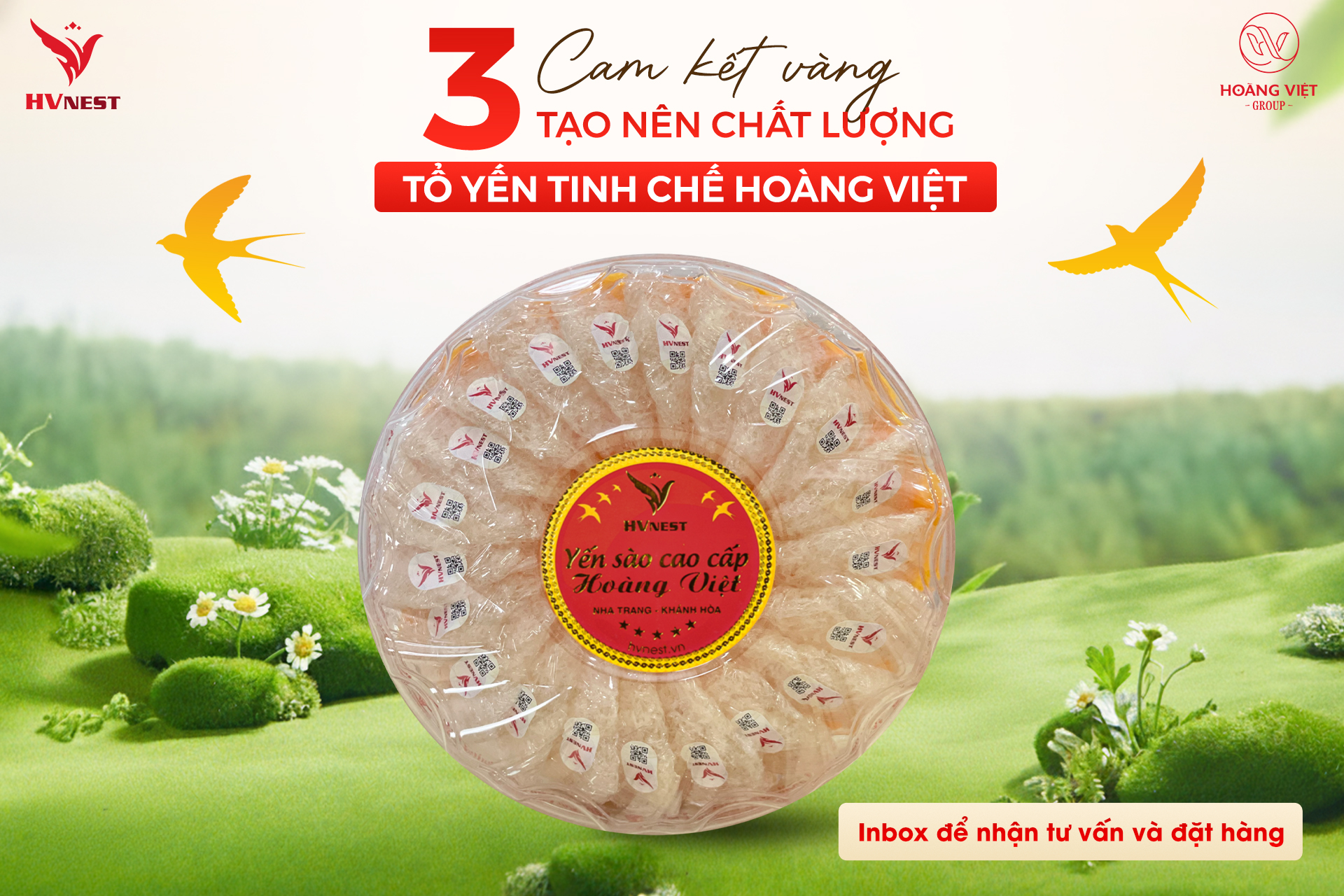 tổ yến tinh chế tổ yến tinh chế