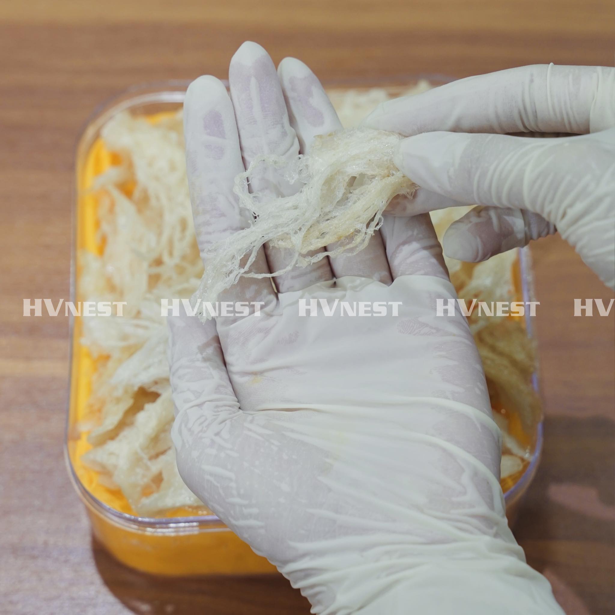 tổ yến tổ yến