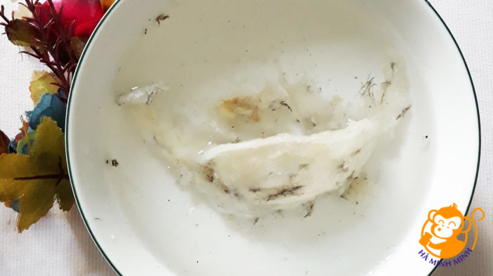 tổ yến tổ yến