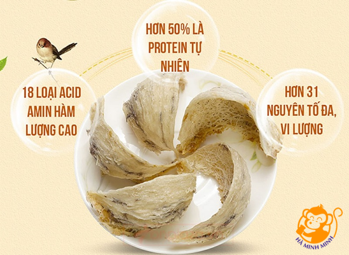 Tổ yến Tổ yến