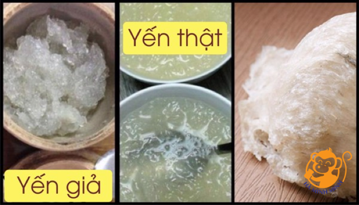 tổ yến tổ yến