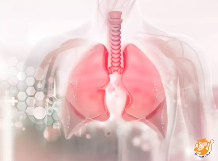 Ung thư phổi có ăn yến được không Ung thư phổi có ăn yến được không