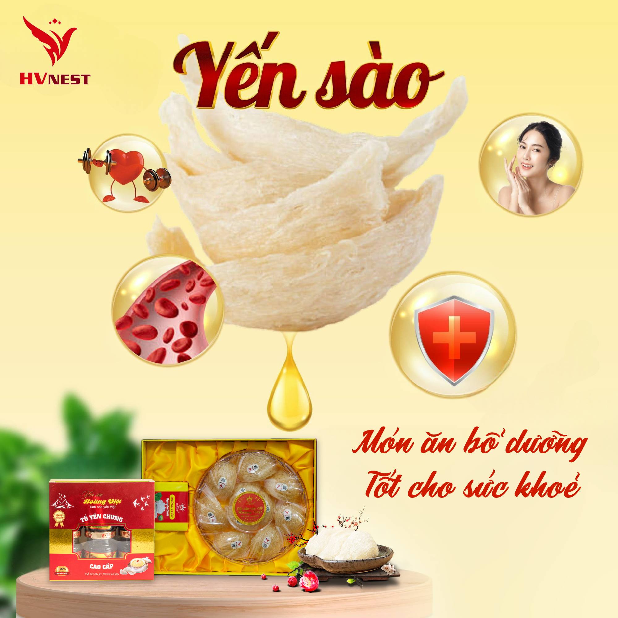 yến biếu tết yến biếu tết