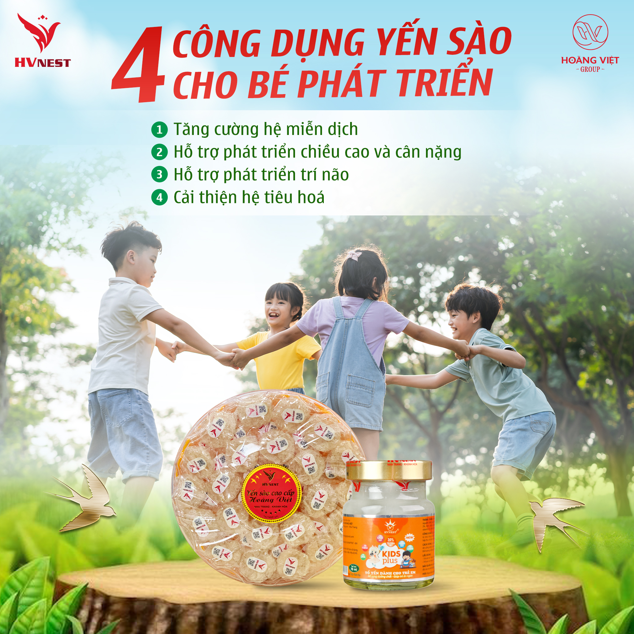 yến bồi bổ sức khoẻ yến bồi bổ sức khoẻ