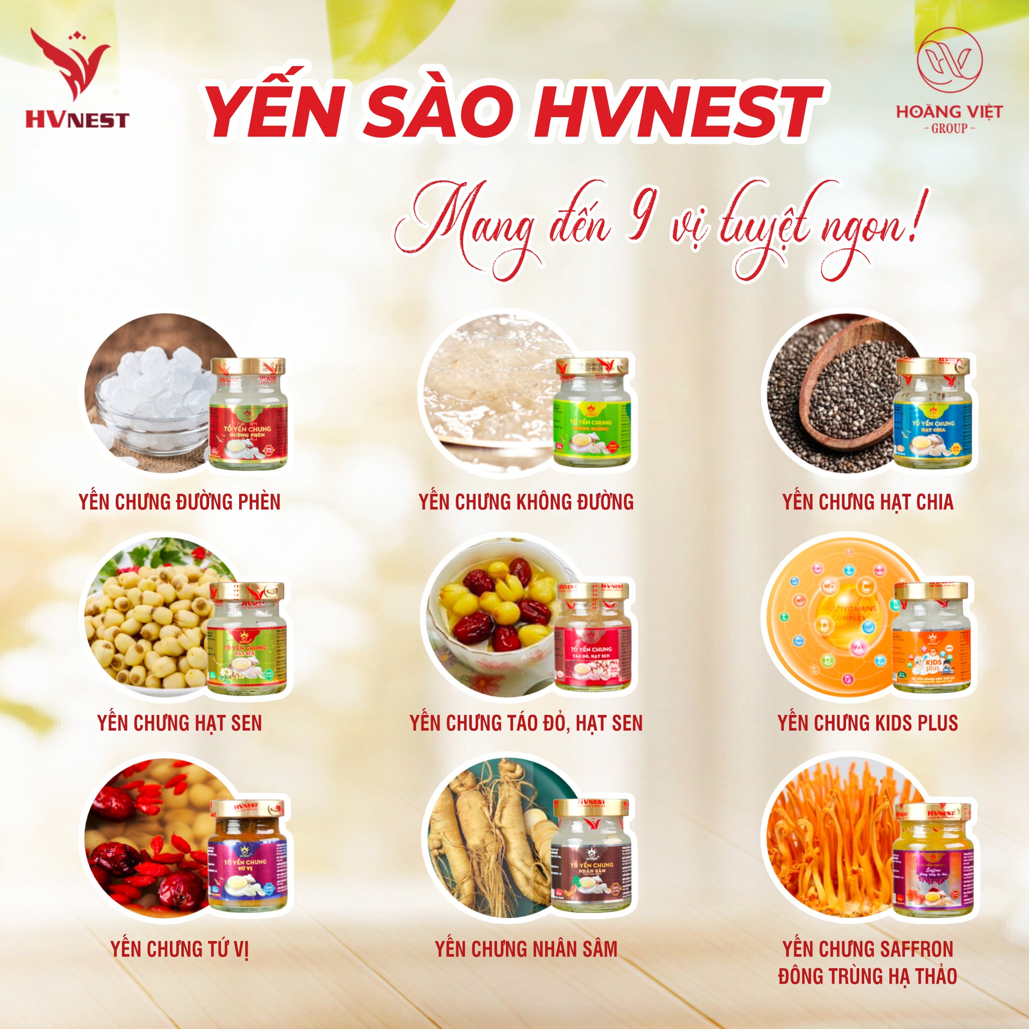 yến chưng nguyên chất yến chưng nguyên chất