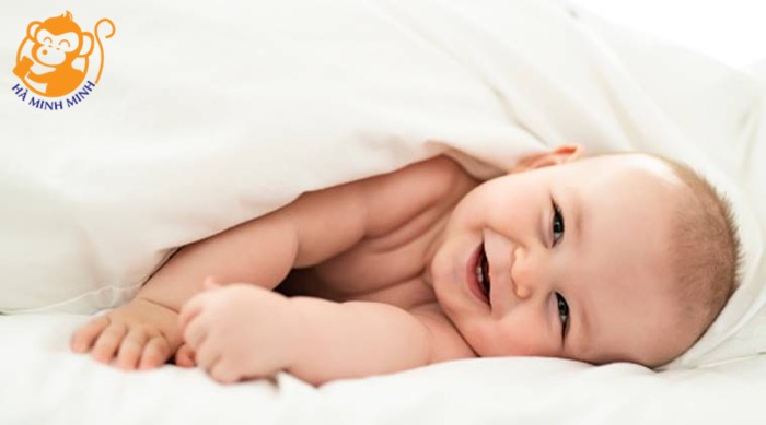 Yến hủ cho trẻ em Yến hủ cho trẻ em