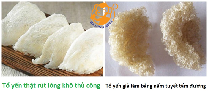 yến rút lông nguyên tổ yến rút lông nguyên tổ