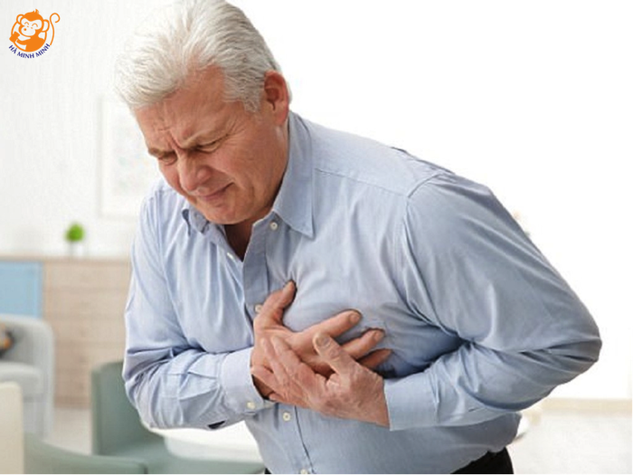 Yến sào cải thiện sức khỏe tim mạch cho người già Yến sào cải thiện sức khỏe tim mạch cho người già