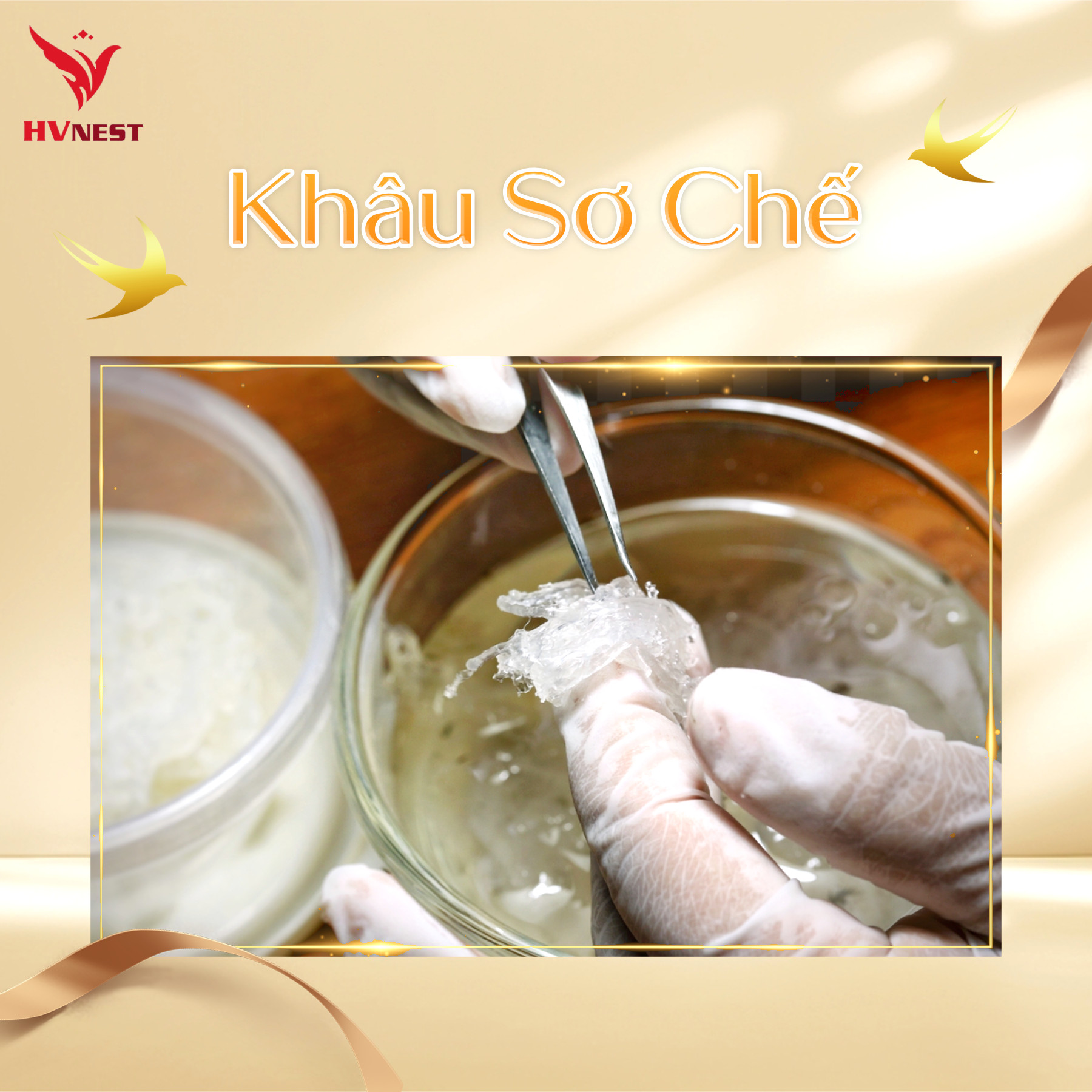 Yến sào Hà Minh Minh – Cam kết cung cấp yến sào chất lượng uy tín hàng đầu Yến sào Hà Minh Minh – Cam kết cung cấp yến sào chất lượng uy tín hàng đầu