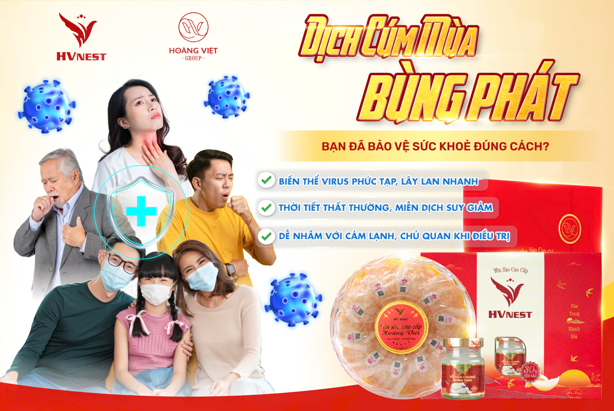 yến sào yến sào