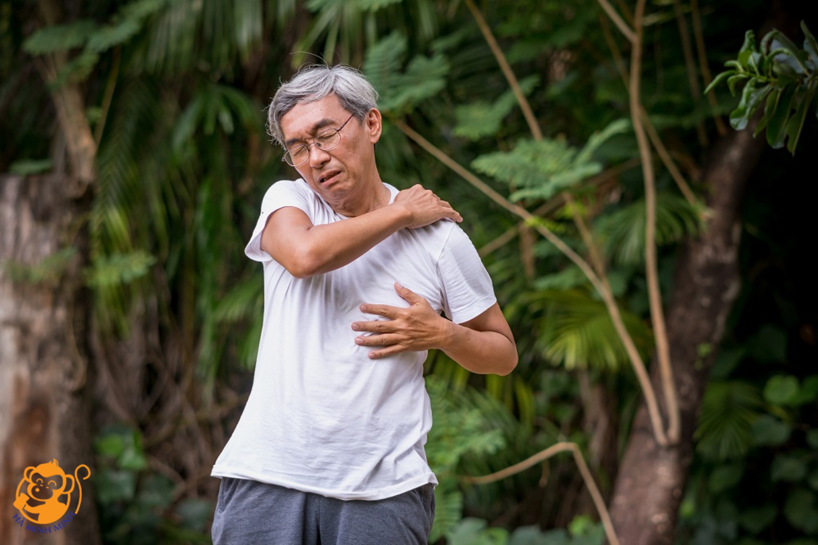 Yến sào có tốt cho người bị đau nhức xương khớp không Yến sào có tốt cho người bị đau nhức xương khớp không