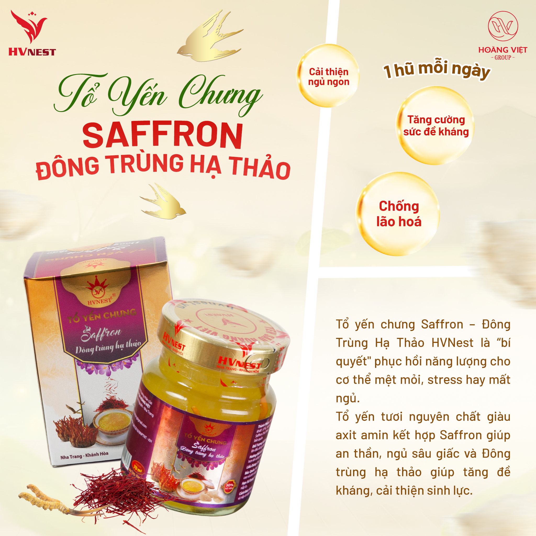 yến sào đông trùng hạ thảo yến sào đông trùng hạ thảo