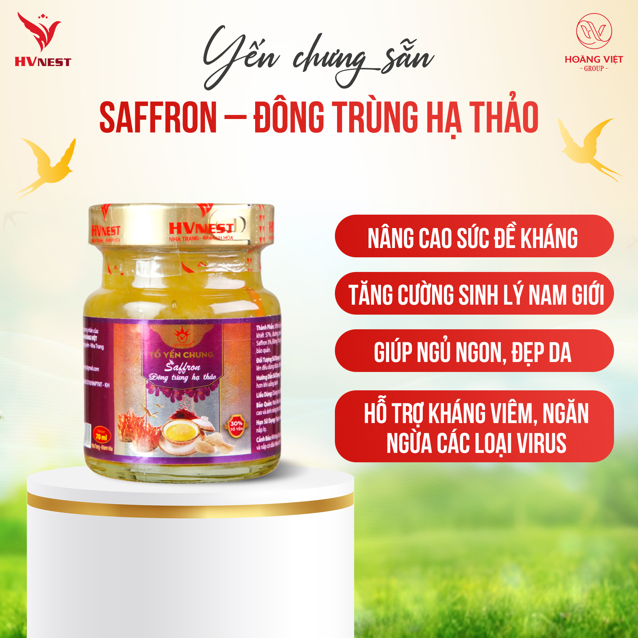 yến sào đông trùng hạ thảo yến sào đông trùng hạ thảo