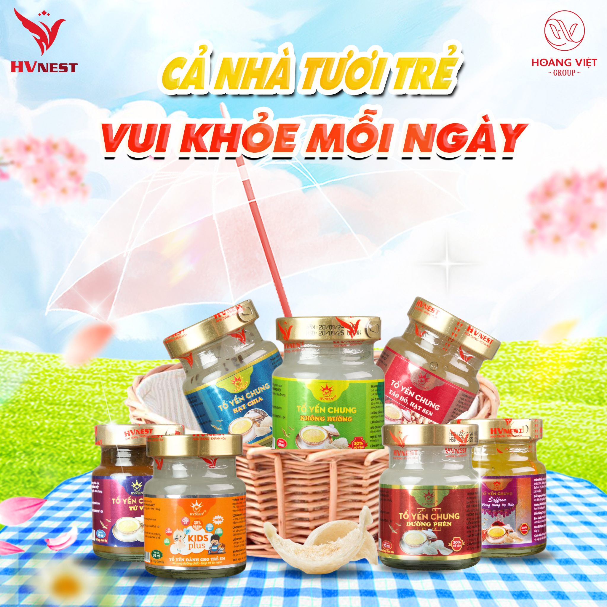 yến sào món quà quý cho sức khỏe yến sào món quà quý cho sức khỏe