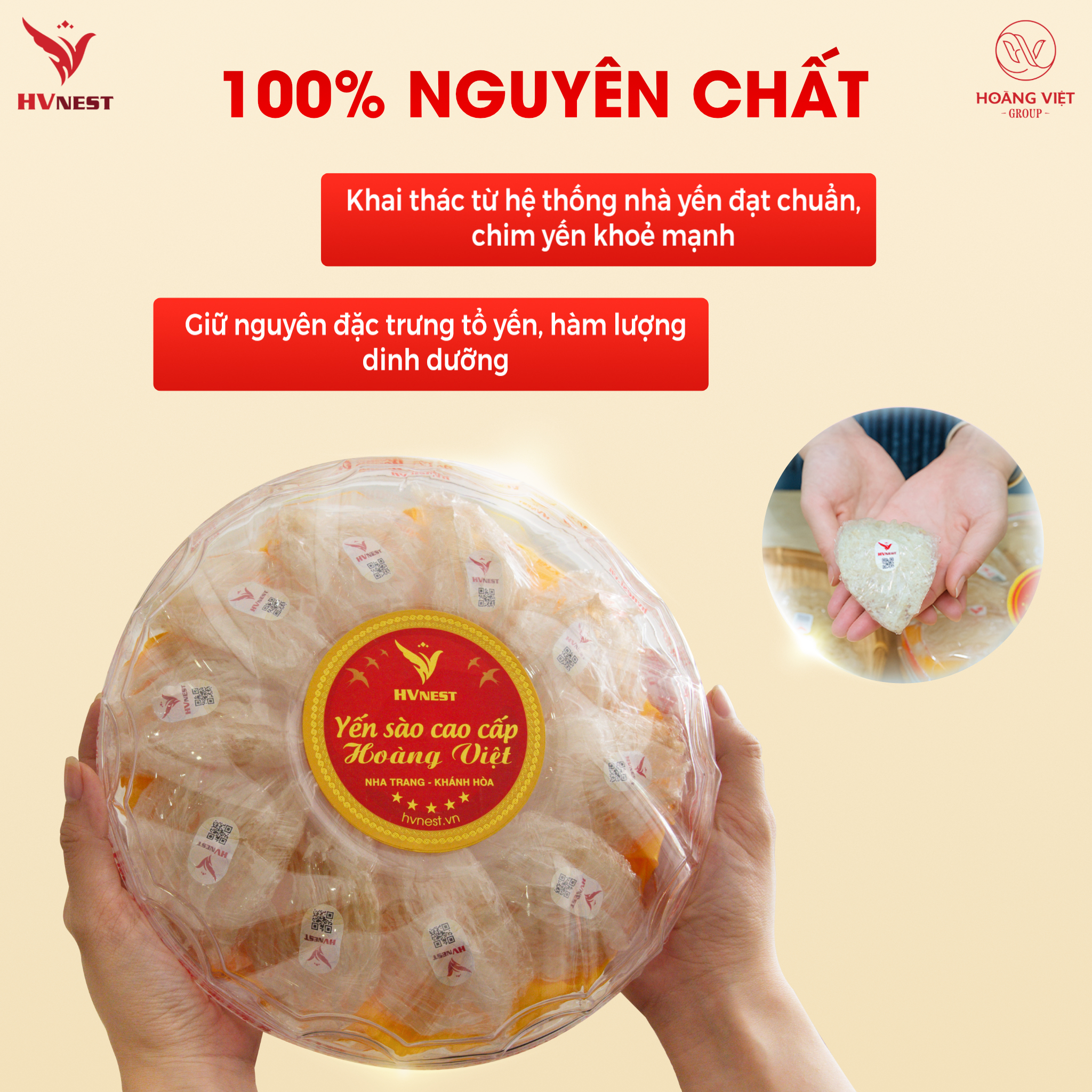 yến sào nguyên chất yến sào nguyên chất