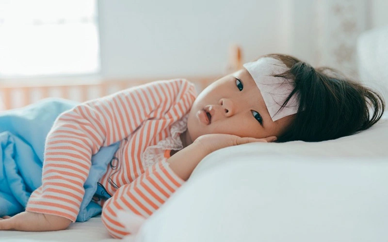 Yến sào Yến sào