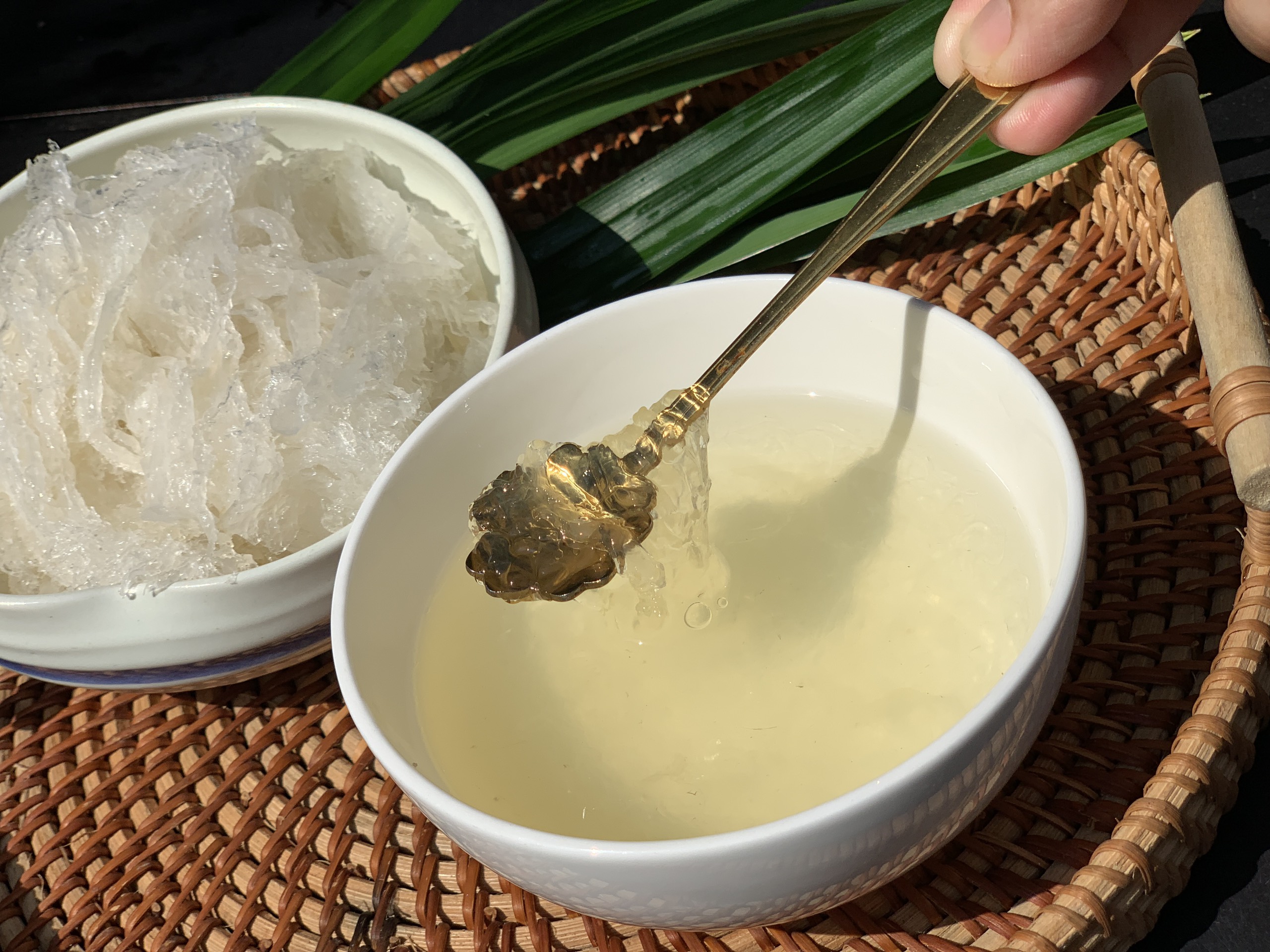 Yến sào Yến sào