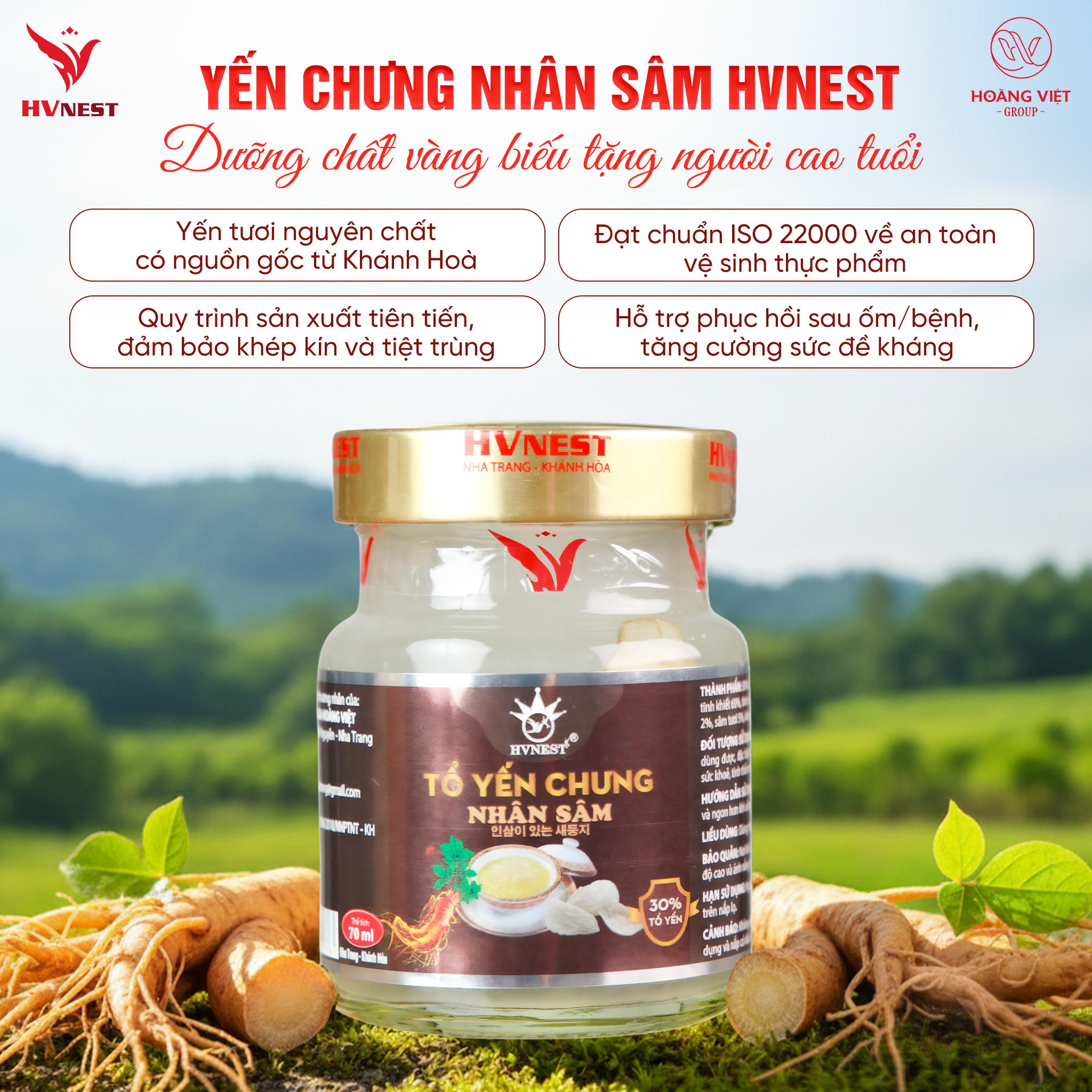 yến sào sâm yến sào sâm