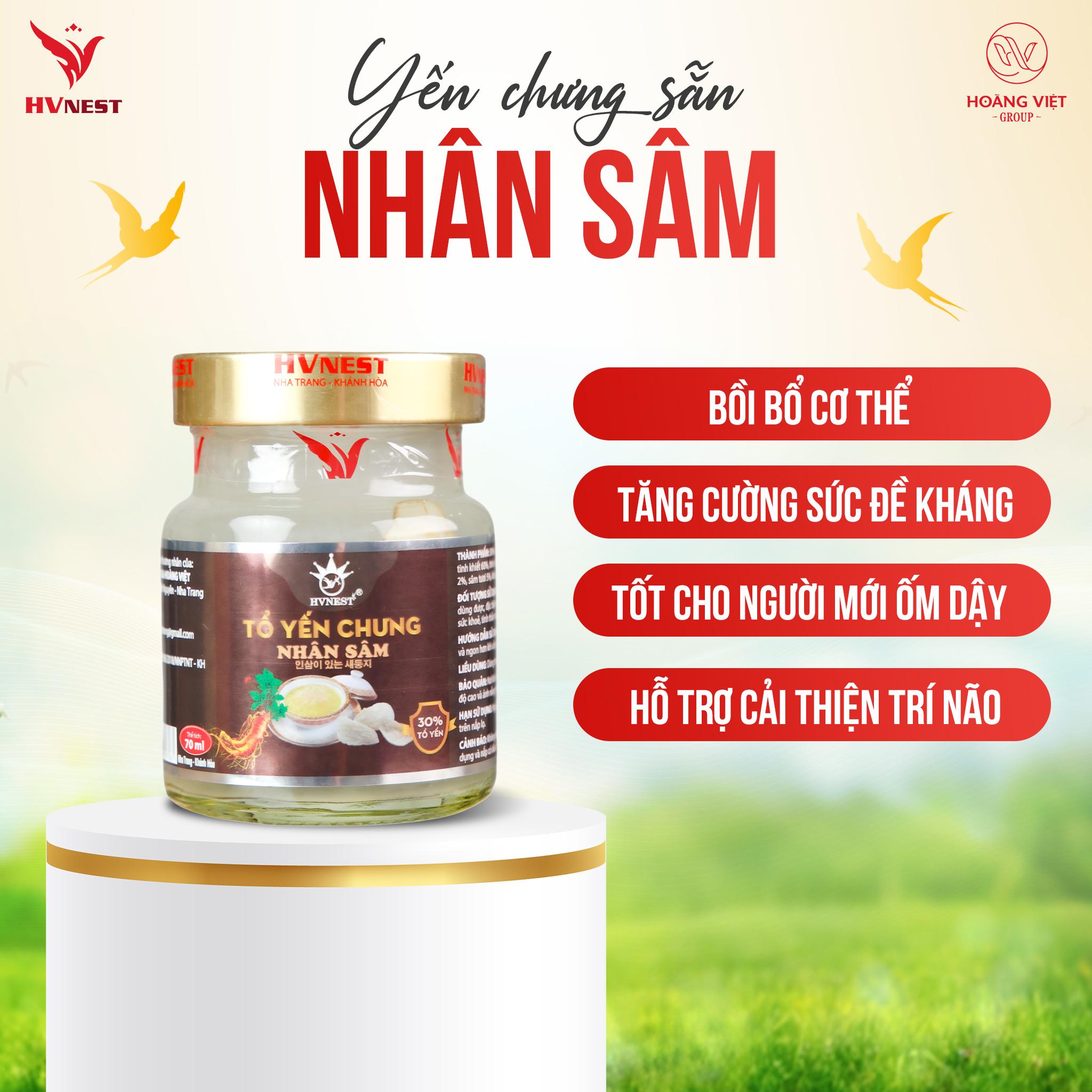 yến sào sâm yến sào sâm