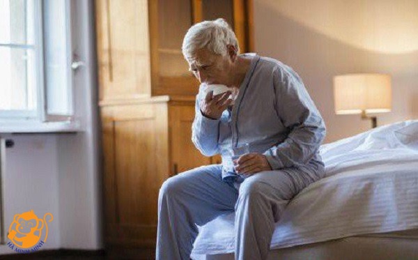 Yến sào tốt cho người bị viêm phổi Yến sào tốt cho người bị viêm phổi