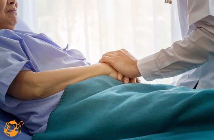 Yến sào tốt cho sức khỏe người bệnh mạn tính Yến sào tốt cho sức khỏe người bệnh mạn tính