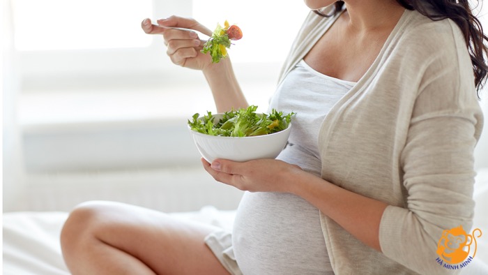 Yến sào trái cây Yến sào trái cây