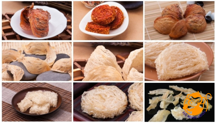 yến sào yến sào