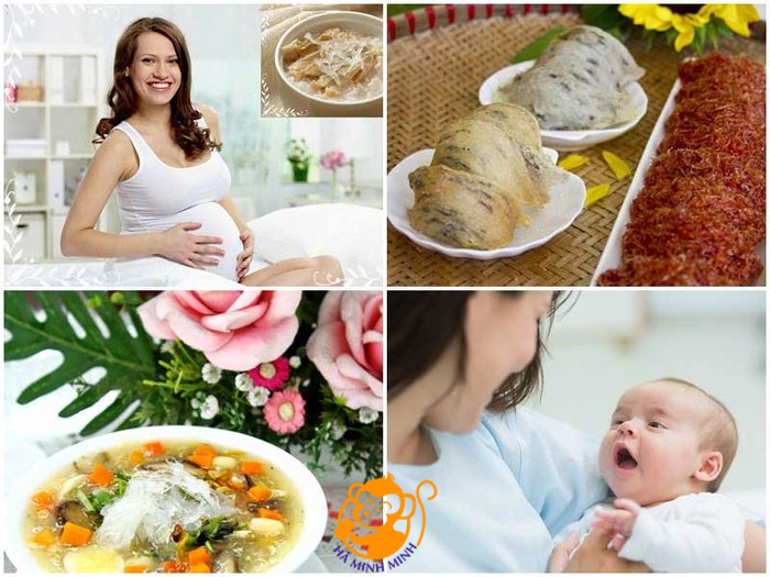 yến sào yến sào