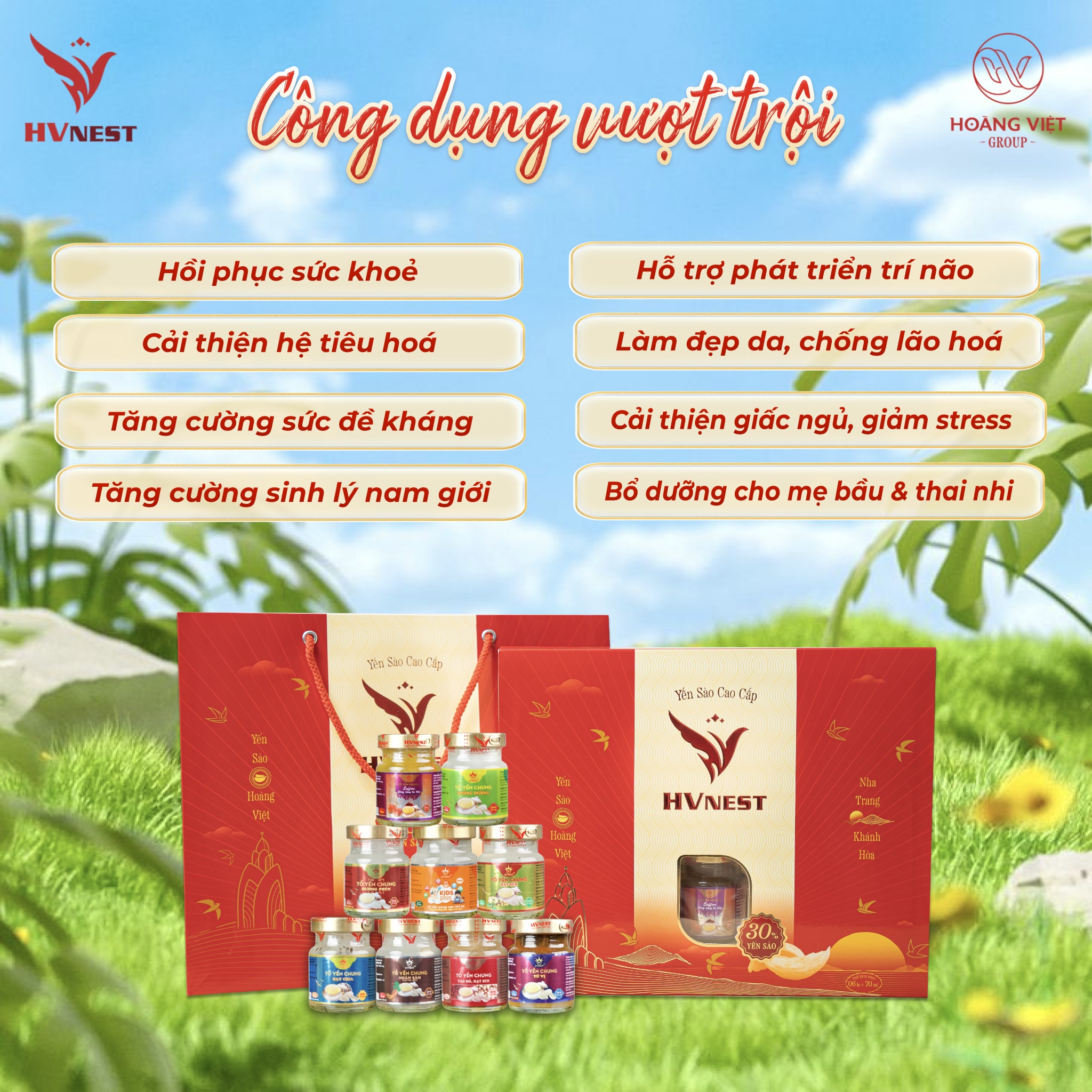 Yến thật chưng lên như thế nào? Hình dáng – mùi vị – kết cấu cần biết Yến thật chưng lên như thế nào? Hình dáng – mùi vị – kết cấu cần biết