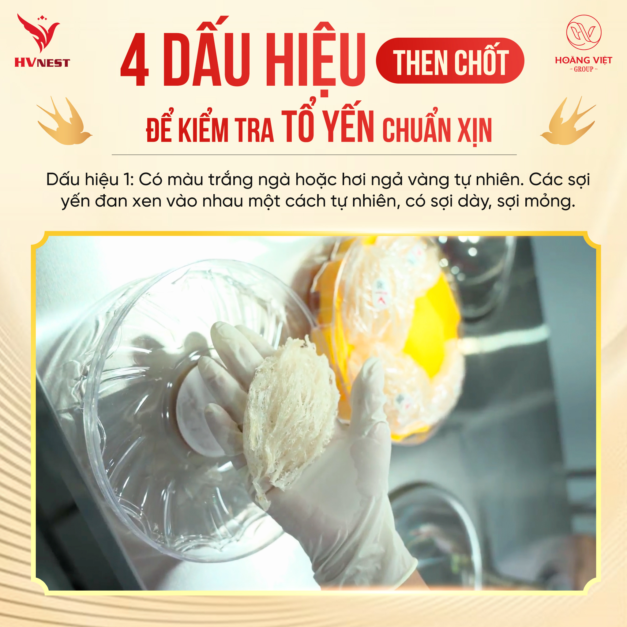 Yến thô Yến thô