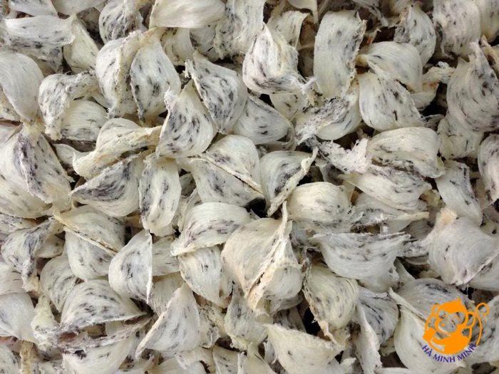 Yến thô Yến thô