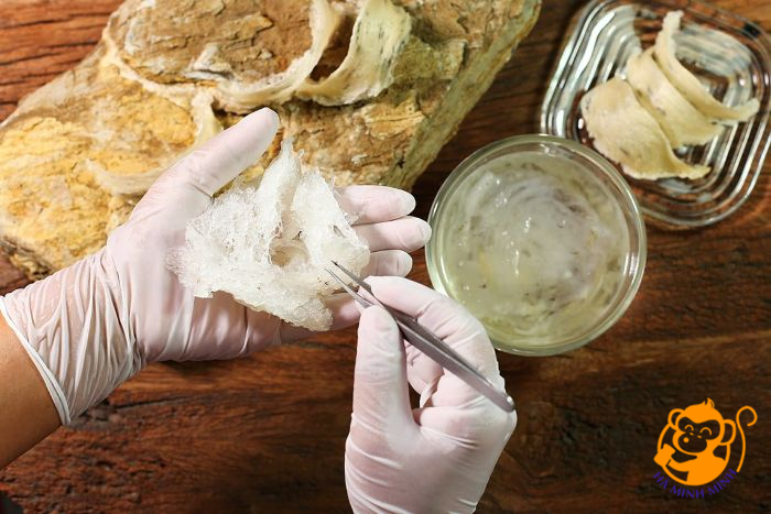 Yến thô Yến thô