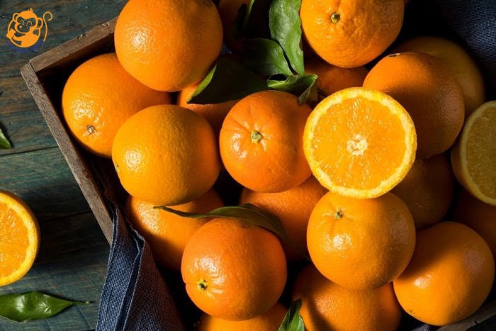 Yến tinh chất trái cây vị cam Yến tinh chất trái cây vị cam