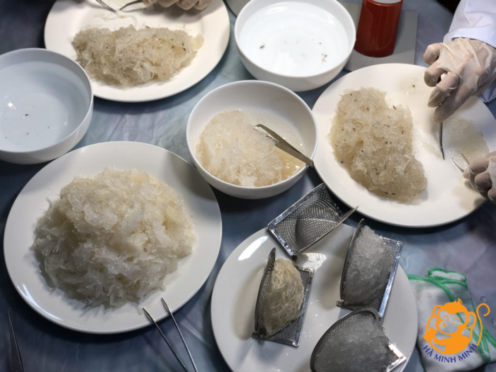 Yến tinh chế Yến tinh chế