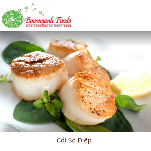 Ireland Scallops