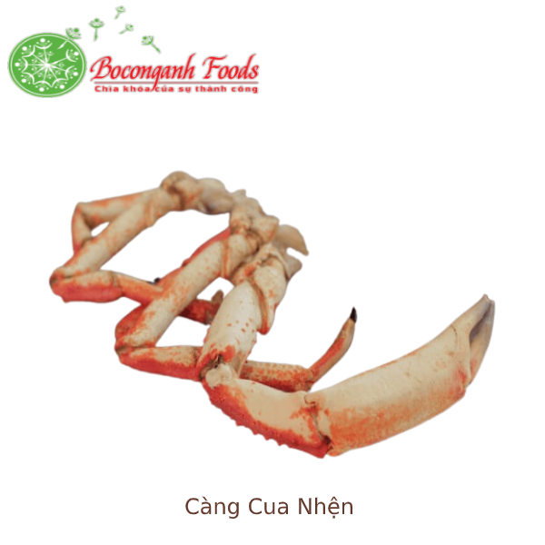 Càng cua nhện