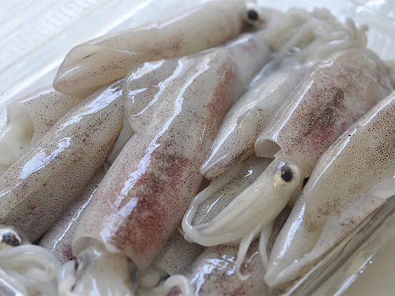 How to choose fresh squid