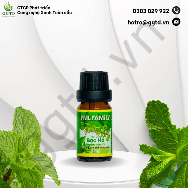 Tinh dầu Bạc hà (Lọ nhỏ giọt 10ml)